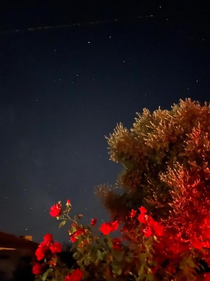 Moita Cottage Dış mekan fotoğraf